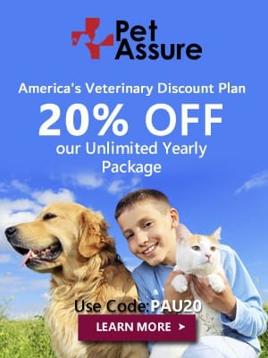 Pre Existing Condition Pet Insurance